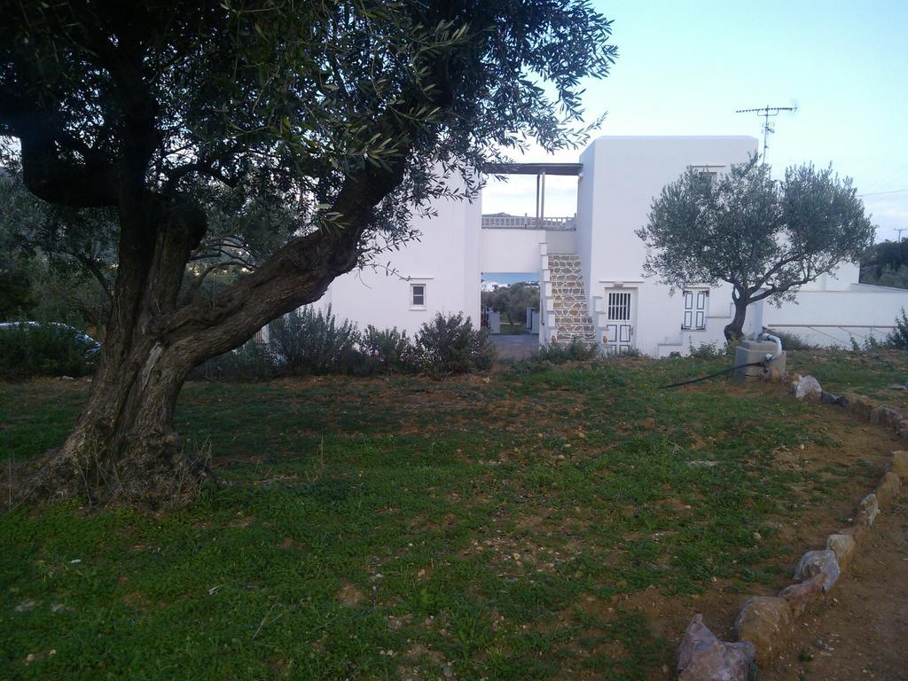 Studios Evdokia Platis Gialos  Exteriér fotografie