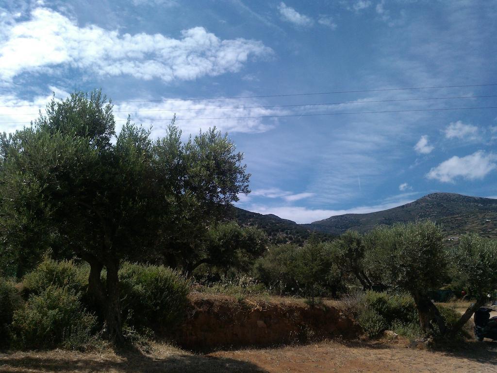 Studios Evdokia Platis Gialos  Exteriér fotografie
